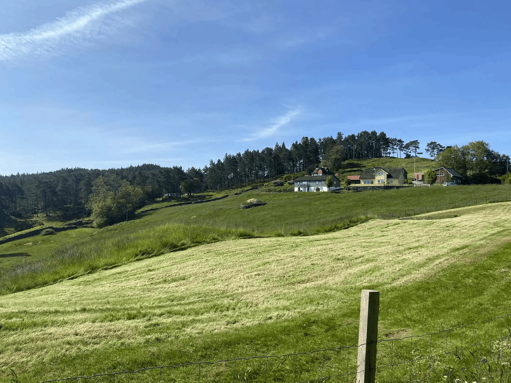 Hanevik Bringebær og Ved